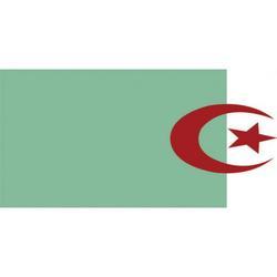 ALGERIA FLAG EvansEvans