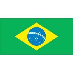 BRAZIL FLAG EvansEvans