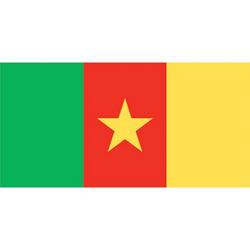 CAMEROON FLAG EvansEvans