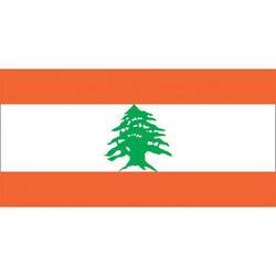 LEBANON FLAG EvansEvans