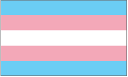 Transgender Pride EvansEvans