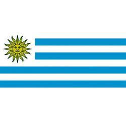 URUGUAY FLAG EvansEvans
